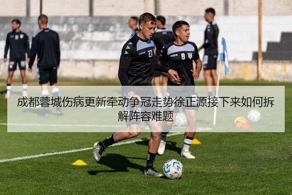 成都蓉城伤病更新牵动争冠走势徐正源接下来如何拆解阵容难题